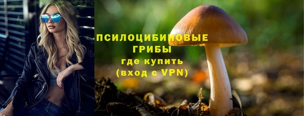 бутират Пересвет