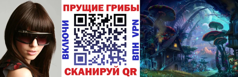 darknet как зайти  MEGA онион  Струнино  закладки  Псилоцибиновые грибы MAGIC MUSHROOMS 
